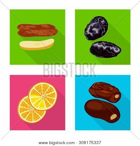 Isolated Object Of Fruit And Dried Symbol. Set Of Fruit And Food Vector Icon For Stock.