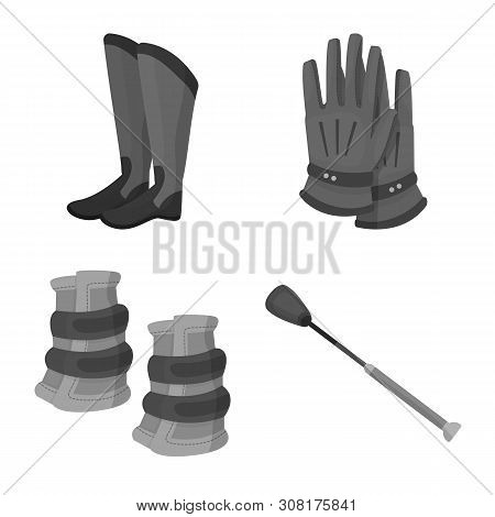 Vector Illustration Of Race And Horse Symbol. Set Of Race And Racing Vector Icon For Stock.