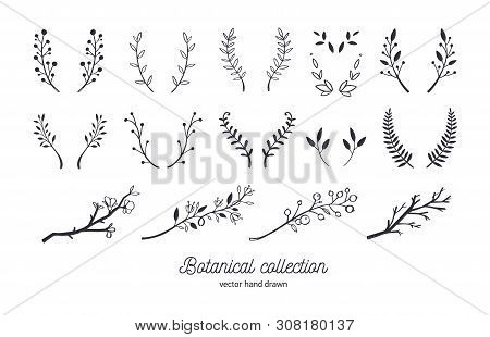 Vector Hand Drawn Vintage Floral Elements. Set Of Forest Doodle Flowers And Brunches For Wedding, Bi