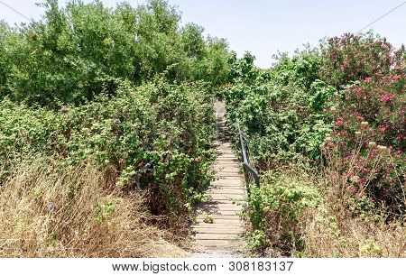 Footpath And Bridge Over The River Leading Through The Bushes With Flowers To The Ayit Waterfall On 