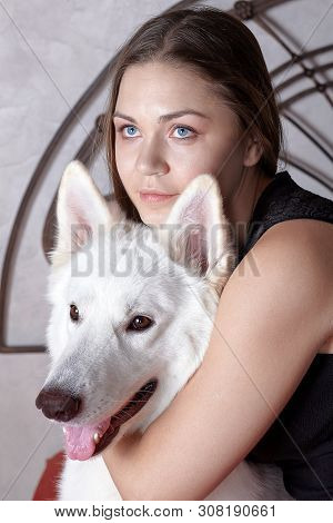 Young Attractive Caucasian Woman Embrases Expressive Dog Of Big Swiss Shepherd Breed. Beautiful Fema