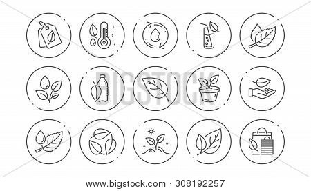 Plants Line Icons. Leaf, Growing Plant And Humidity Thermometer. Water Drop Linear Icon Set. Line Bu