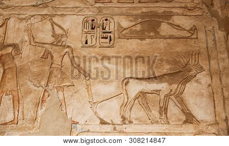 Egyptian Hieroglyphs In Medinet Habu Temple, Luxor, Egypt