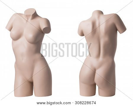 Female Nude Mannequin Without Hands, Feet And Head On White Background. Back View