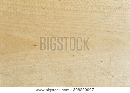 The Texture Is Natural Wood. Solid Wood Texture, Birch. Spruce Tree Background Close Up.