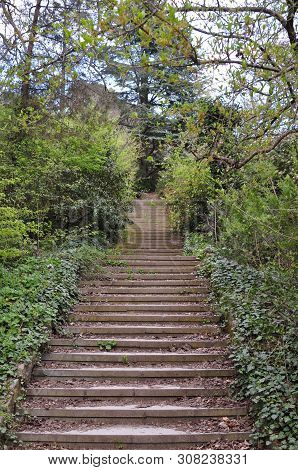 Staircase Covered With Dry Leaves In An Old Abandoned Park In Spring. On The Sides Grow Trees, Bushe