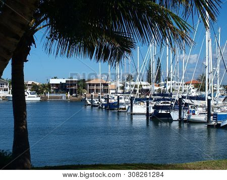 Boats Berthed At A Tropical Waterfront Marina With Palm Tree And Blue Sky Backdrop. Safe Haven For S