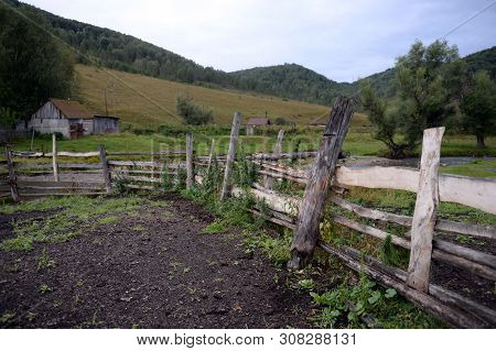 Farmyard In The Taiga Village Generalka Altai Region