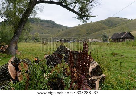 The Surroundings Of The Taiga Village Of Generalka Altai Region