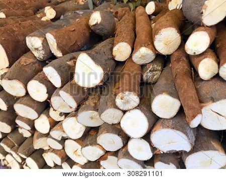 Fresh cassava with peel market          