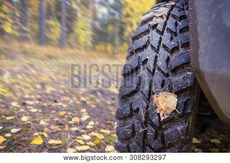 Mud Tires, Blurred Autumn Background, Travel. Close Up, Copy Space