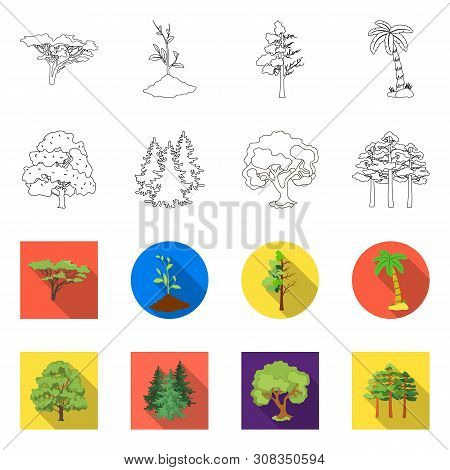 Vector Design Of Tree And Forest Icon. Set Of Tree And Green Vector Icon For Stock.