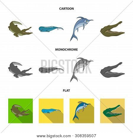 Vector Illustration Of Sea And Ocean Icon. Set Of Sea And Reptiles Vector Icon For Stock.