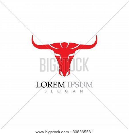 Cow Logo Template Vector Icon