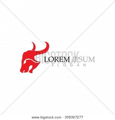 Cow Logo Template Vector Icon