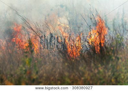 Strong Smoke In Steppe. Forest And Steppe Fires Destroy Fields And Steppes During Severe Droughts. F