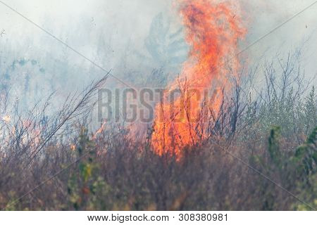 Strong Smoke In Steppe. Forest And Steppe Fires Destroy Fields And Steppes During Severe Droughts. F