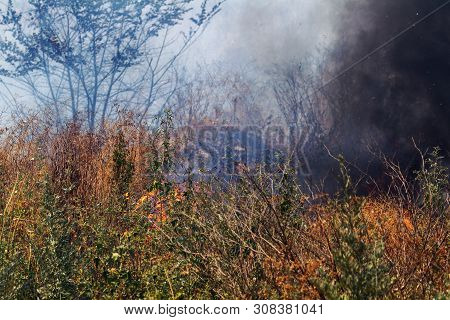 Strong Smoke In Steppe. Forest And Steppe Fires Destroy Fields And Steppes During Severe Droughts. F