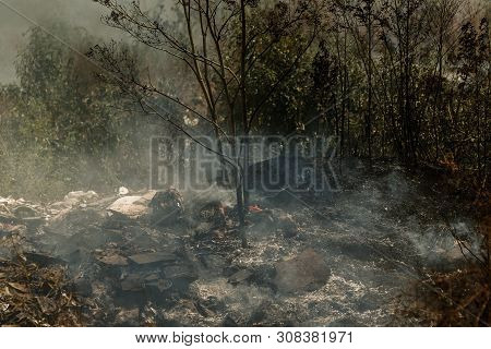 Strong Smoke In Steppe. Forest And Steppe Fires Destroy Fields And Steppes During Severe Droughts. F