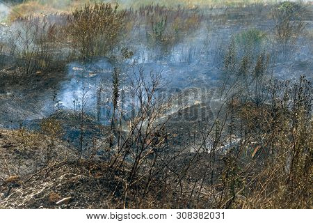 Strong Smoke In Steppe. Forest And Steppe Fires Destroy Fields And Steppes During Severe Droughts. F