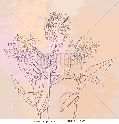 Vector Drawing Flowers At Vintage Pink Background, Floral Composition, Hand Drawn Illustration