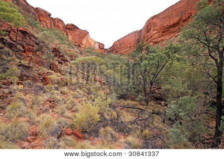 Kings Canyon