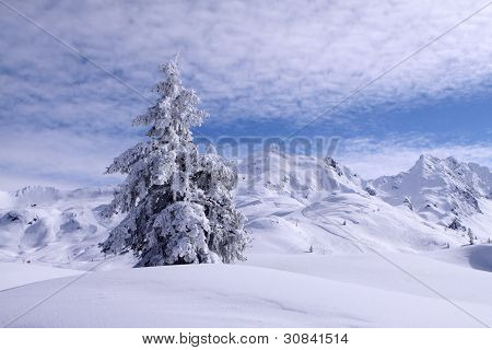 Vinter sceneri