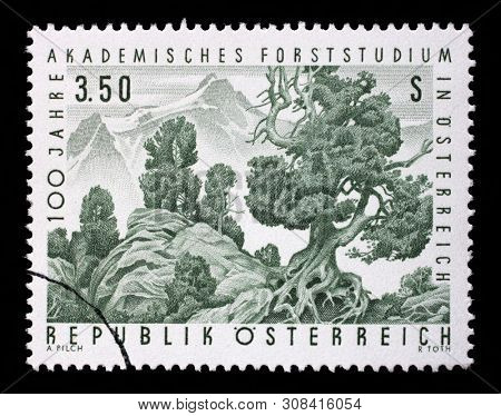 ZAGREB, CROATIA - SEPTEMBER 09, 2014: A stamp issued in the Austria shows the Swiss Pine in the upper treeline of a forest, the 100th Anniversary of Academic Forestry Studies in Austria, circa 1967.
