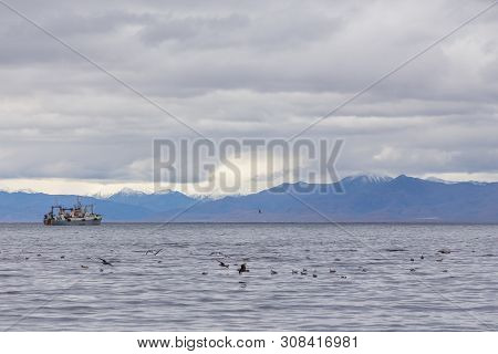 View Of The Avacha Bay. Ships Standing In The Roadstead, Mountain In The Background. Petropavlovsk-k
