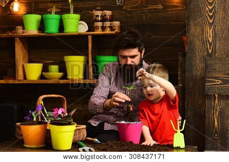 Flower Care Watering. Soil Fertilizers. Father And Son. Happy Gardeners With Spring Flowers. Bearded