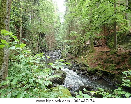 Beautiful Valley Of Wild Doubrava River In Bohemian Highlands In Checz Republic