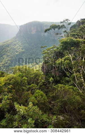 Spooners Lookout Vertical View To The Canyon At The Three Sisters At The Blue Mountains With Backlig