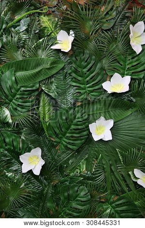 Exotic Frangipani Flowers And Different Tropical Leaves, Imitation Of Natural Background.