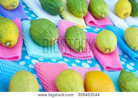 Jewish Festival Of Sukkot. Traditional Market Before The Holiday Of Sukkot.etrog Yellow Citron Tradi