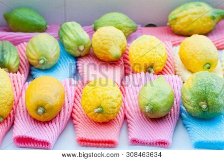Jewish Festival Of Sukkot. Traditional Market Before The Holiday Of Sukkot.etrog Yellow Citron Tradi