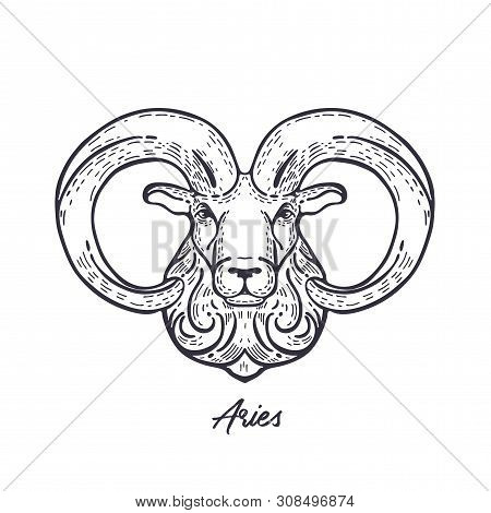 Zodiac Sign Aries. The Symbol Of The Astrological Horoscope.