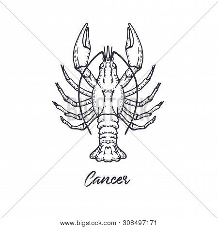 Cancer Zodiac Constellation. The Symbol Of The Astrological Horoscope.