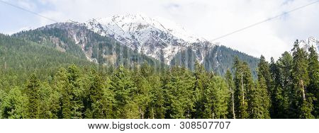 Stunning Photograph Of Kashmir Valley (paradise On Earth). Beautiful View Of Yusmarg Village Surroun