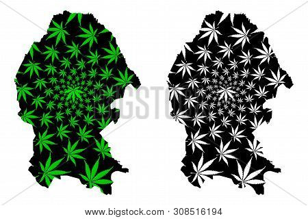 Coahuila (united Mexican States, Mexico, Federal Republic) Map Is Designed Cannabis Leaf Green And B