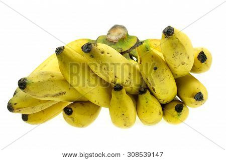 Ripe Gros Michel Banana Isolated On White Background, Krua Hom Thong Plants Grown In Thailand