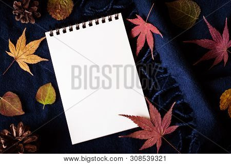 Autumn Background In Low-key Lighting - The Empty Notebook Page Is Next To The Red, Dark Yellow And 