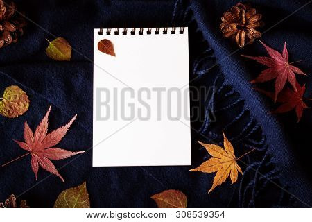 Autumn Background In Low-key Lighting - The Empty Notebook Page Is Next To The Red, Dark Yellow And 