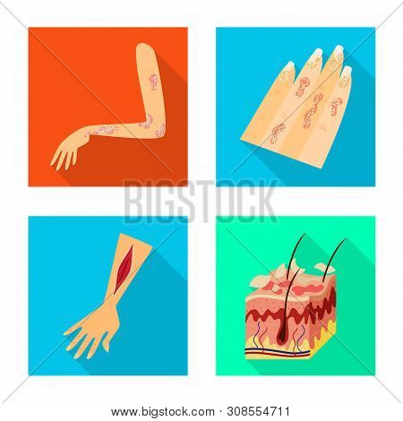 Vector Illustration Of Dermatology And Disease Icon. Collection Of Dermatology And Medical Vector Ic
