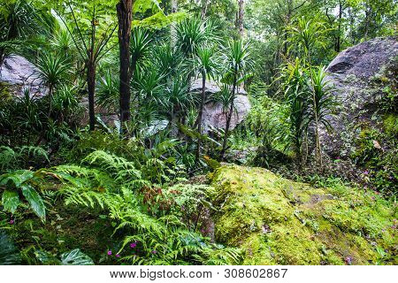 Garden Near Siriphum Waterfall In Northern Thailand