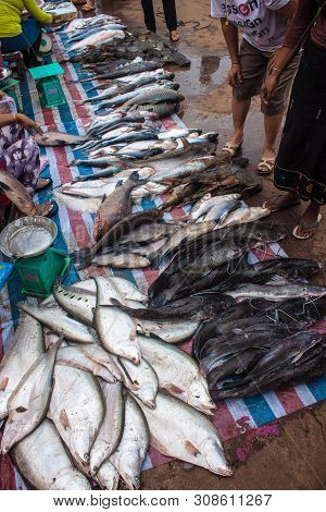 Pakse, Laos - Sep 12: Fish For Sale On A Market In Pakse, Laos On Sep 12, 2013. Pakse Is The Third M