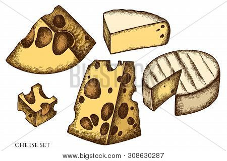 Vector Set Of Hand Drawn Colored Cheese Stock Illustration