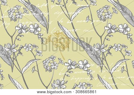 Collection Of Hand Drawn Flowers And Plants. Botany. Set. Vintage Flowers. Black And White Illustrat