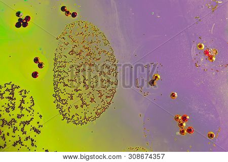 Oil Bubbles Inside Water Base Form Patterns