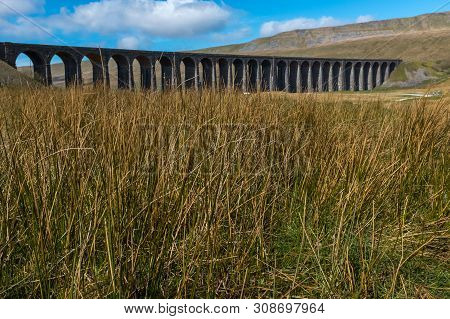 A Distant Shot Through The Meadow Grass Of The Sweeping Majestic Ribblehead Viaduct Stands Tall Abov