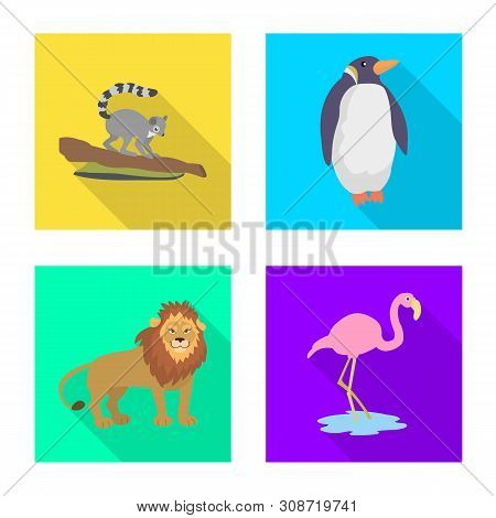 Isolated Object Of Safari And Animal Symbol. Collection Of Safari And Fun Vector Icon For Stock.